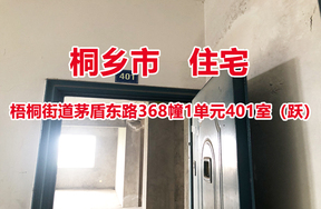 位于桐乡市梧桐街道茅盾东路368幢1单元401室（跃）